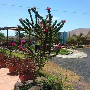 Casa di campagna Casa Rural Soleario, La Oliva